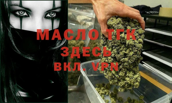 хмурый Осинники