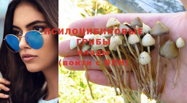 мяу мяу кристалл Гатчина