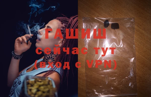 PSILOCYBIN Вяземский