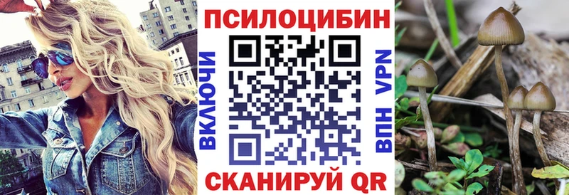 Псилоцибиновые грибы прущие грибы  гидра ССЫЛКА  Островной 